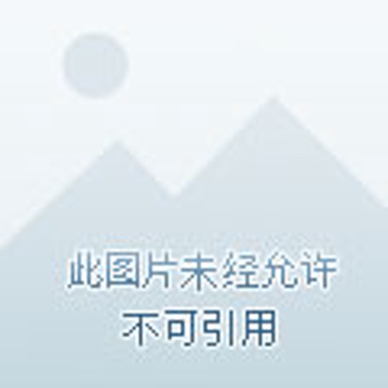 高尔夫球场：绿色的竞技场